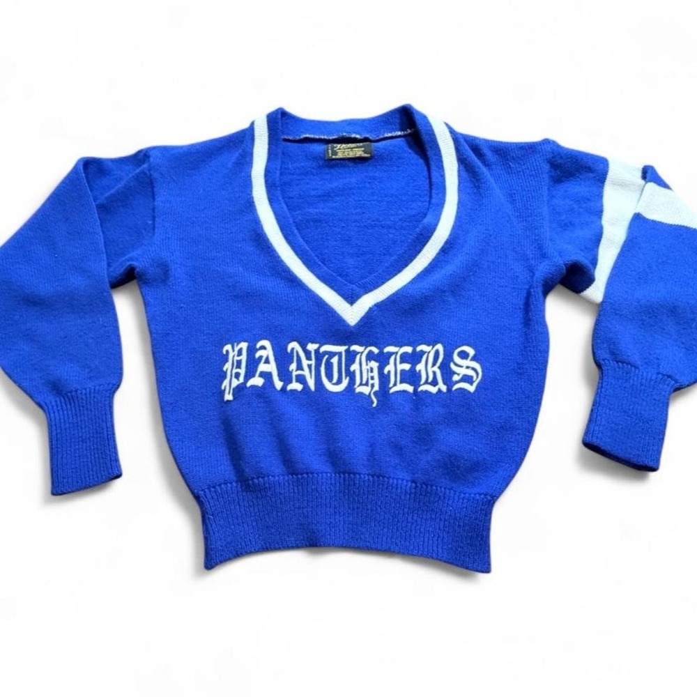 Vintage Dehen Knitting Co. Panthers Sweater